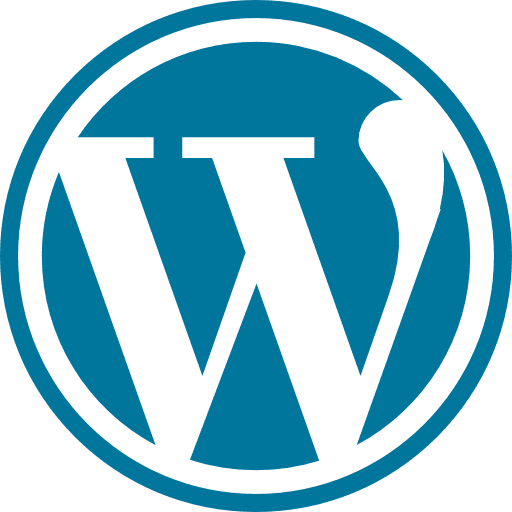 Wordpress Development in Delhi